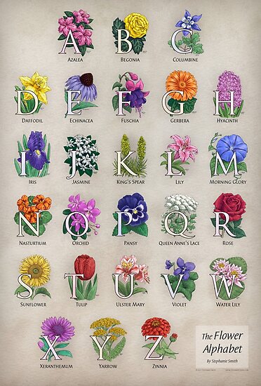 The Floral Alphabet by Stephanie Smith