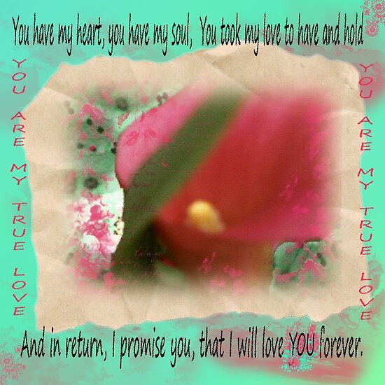 will love you forever quotes. I+will+love+you+forever+