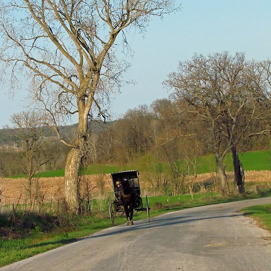 Saturday Ride by Kam Johnson