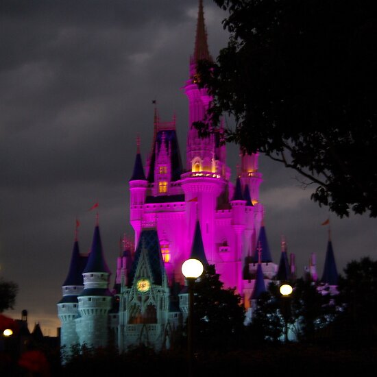 walt disney world castle at night. Magic Kingdom, Walt Disney