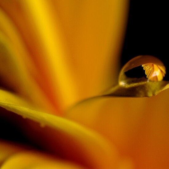 water droplet. Yellow Water Droplet