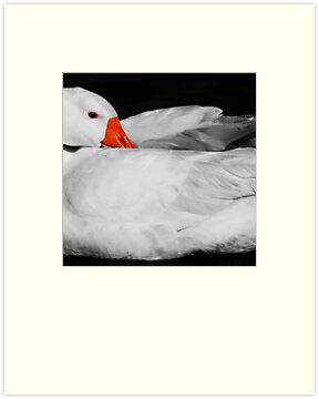 Daisy+duck+pictures+to+print