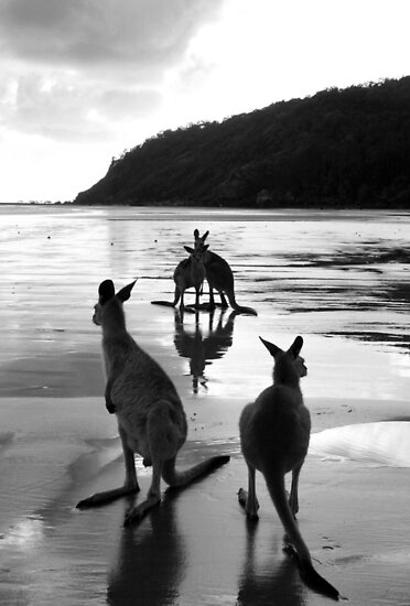 Australian Landmarks and Icons, BeachScapes (1/24), Black and White 