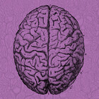 actionpotential