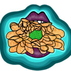 Katzirnfa