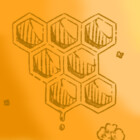 HoneyBearRice