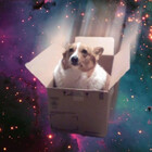 theadopolo
