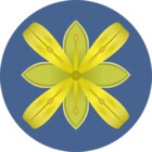 hywidner