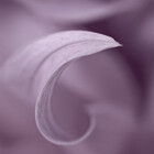 celestem