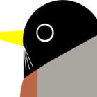 cynical-birder