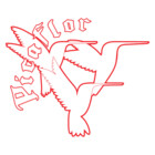 picaflorstore