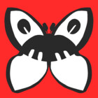 dead-moth