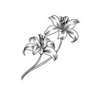 georgieeneshop