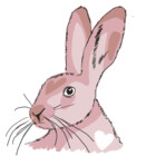 a-rabbits-heart
