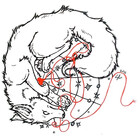 nikui