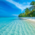 Tropicx