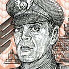 hmibisondollars