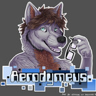 Aerodymeus