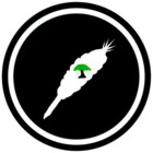 The-Allabakash