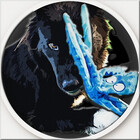 Pirate-Dog-Miky