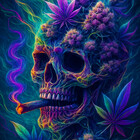 Shweeds