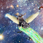 moosegalaxy