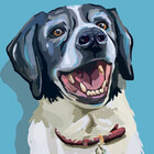 Digital-Dawg
