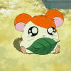 SushiiHavoc