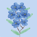 AlineMaia