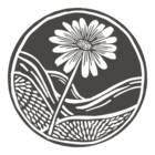 LaCollineStudio