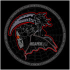 realercvpi