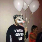 FNRoadkill