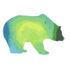 bluebear18