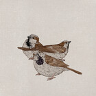 DiogoS-SciArt
