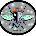 Primepics