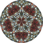 Taleyedoscopic