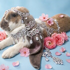 peppy-loppy-ai