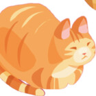 kittycitymayor