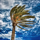 seasandlands