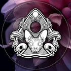 SteamedRabbit