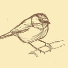 LidiaQuill