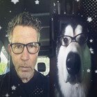 smellslikeupdog