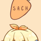parsachae