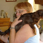 CathySwanson