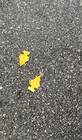 Bbphoto87