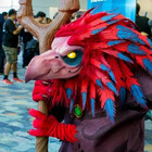 Kazulgfox