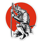 SanaCreation13