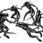 Lespuristes
