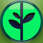 TheMintStudio