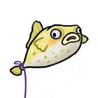 Ballooonfisher